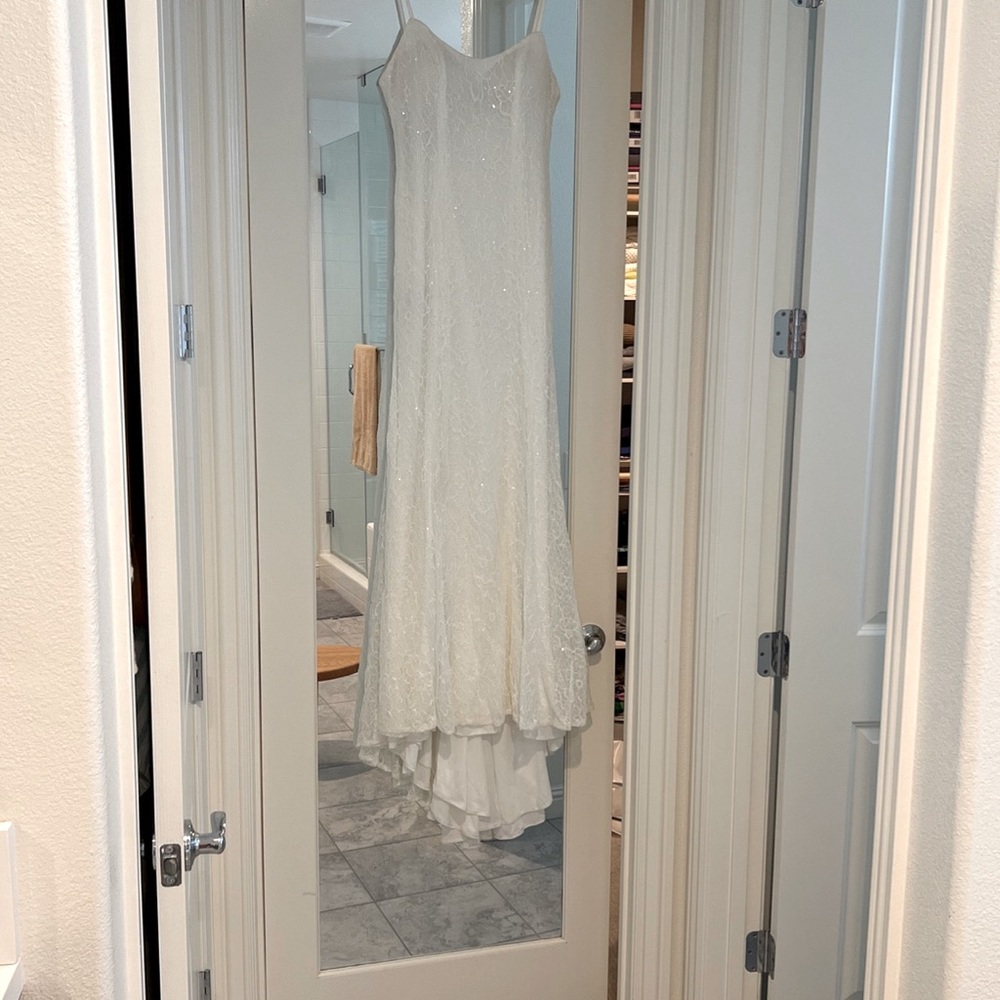 Wedding Dress, David’s Bridal Shop